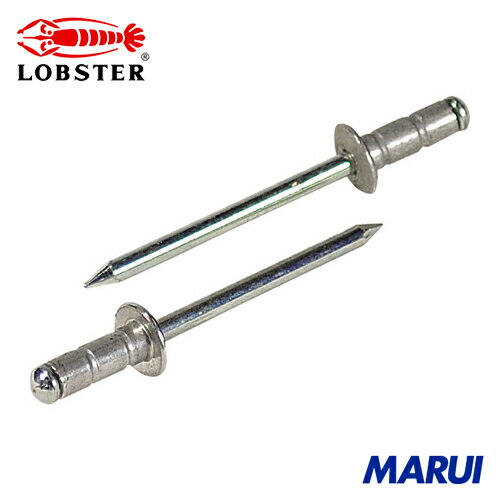 エビ APリベット(アルミニウム/スティール製) 6-8(25本入) エコパック 1Pk AP68MP 【DIY】【工具のMARU..