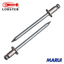 エビ ブラインドリベット(ステンレス/スティール製) 4-1(50本入) エコパック 1Pk NSS41MP 【DIY】【工具のMARUI】(4)