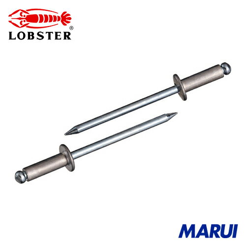 エビ ブラインドリベット(アルミニウム/スティール製) 4-12(30本入) エコパック 1Pk NSA412MP 【DIY】..