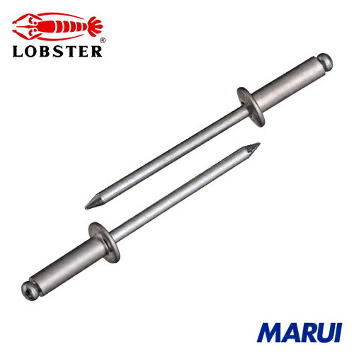 エビ ブラインドリベット(アルミニウム/スティール製) 5-8(45本入) エコパック 1Pk NSA58MP 【DIY】【工具のMARUI】