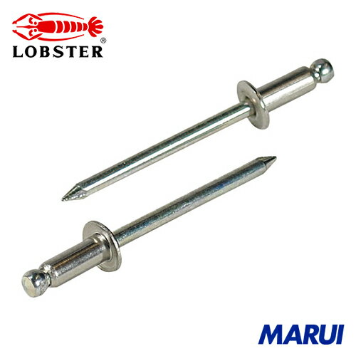 エビ ブラインドリベット(ステンレス/スティール製) 5-5(25本入) エコパック 1Pk NSS55MP 【DIY】【工..