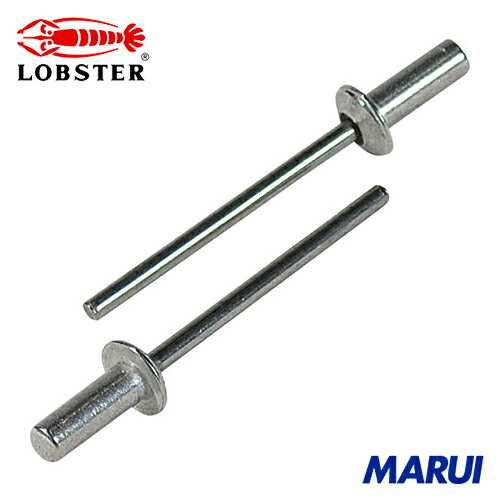 エビ ブラインドリベット(シールドタイプ) アルミニウム/スティール製 6-5(25本入) エコパック 1Pk NSA..