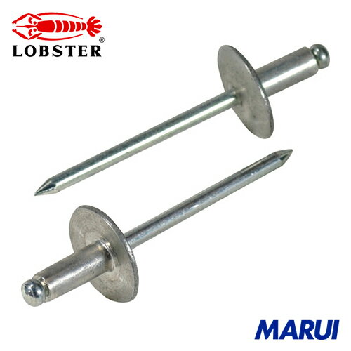 エビ ブラインドリベット(ラージフランジ) アルミニウム/スティール製 5-5(30本入) エコパック 1Pk NSA55LFMP 【DIY】【工具のMARUI】