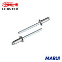 エビ ブラインドリベット(丸頭) ステンレス/スティール製 6-10(500本入) 1箱 LSS610 【DIY】【工具のMARUI】