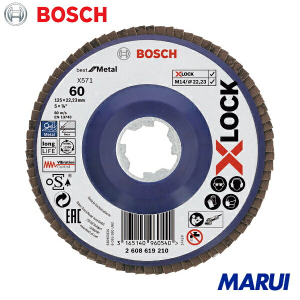 �ܥå��� X-LOCK����ǥ�����125G60 10�� 2608619210 ��DIY�ۡڹ����MARUI��
