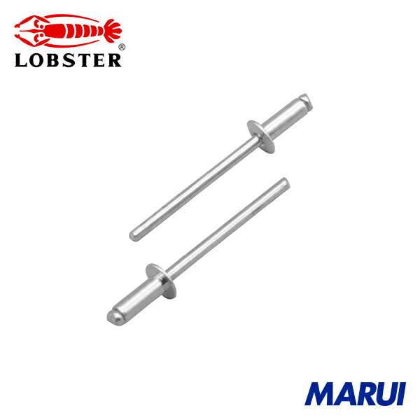 ロブテックス エビ ブラインドリベット(スティール/スティール製) 6-8(500本入) 箱入 1箱 NS68A 【DIY..