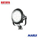ハタヤリミテッド ハタヤ 300W LED投光器 1台 LE3005KD 【DIY】【工具のMARUI】