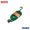 ハタヤリミテッド ハタヤ 2P接地付延長コード 20m アースグリーン 1本 SX203KG 【DIY】【工具のMARUI】(2)