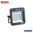 ハタヤリミテッド ハタヤ 充電式LED投光器12W 1台 LWKS 【DIY】【工具のMARUI】(2)