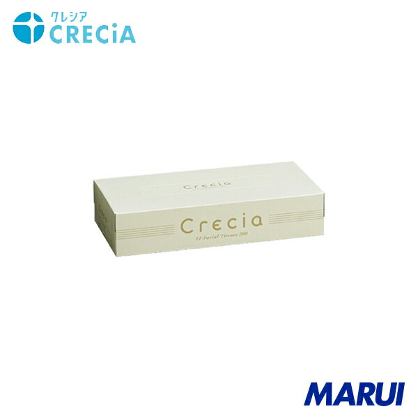 �������楯�쥷�� ���쥷�� EF�ƥ����塼 �쥮��顼 200W 60�ܥå����� 1Cs 43006 ��DIY�ۡڹ����MARUI��