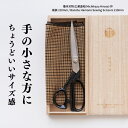 播州刃物 広瀬道和(Michikazu Hirose) 作 洋裁鋏 210mm / Banshu Hamono Sewing Scissors 210mm 名前入り プレゼント 名入り ギフト 記念日 母の日（名入れは3文字まで）