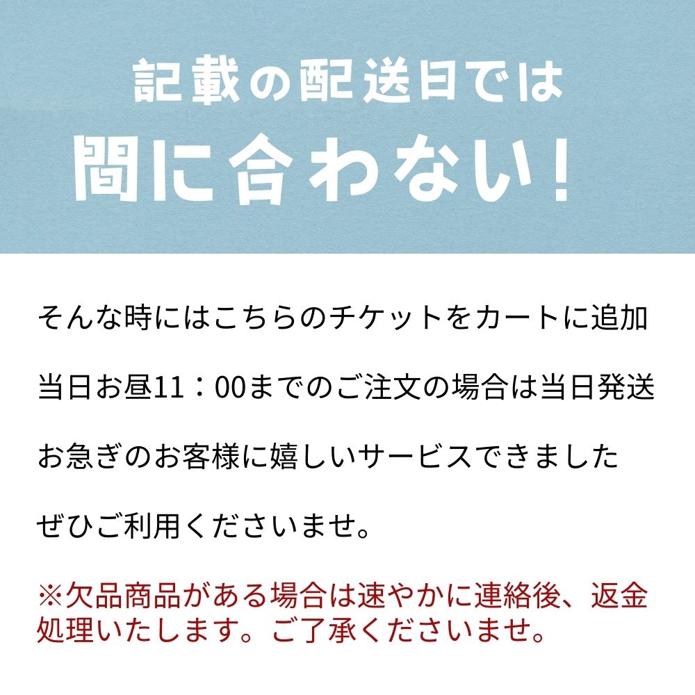 即日発送チケット 当日11時前のご注文までの紹介画像2