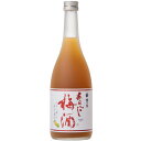 s【送料無料12本入りセット】梅の宿あらごし梅酒 720ml 梅乃宿