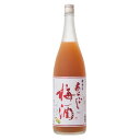 【送料無料6本入りセット】(奈良)梅の宿 あらごし梅酒 1800ml 梅乃宿