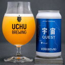 （山梨）宇宙 QUEST Mosaic 350ml 缶 8.5％ 要冷蔵 うちゅうブルーイング クラフトビール 地ビール 宇宙ビール