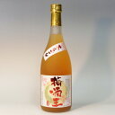 （大分）あらごし　梅酒王　720ml