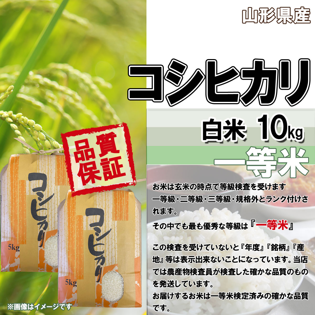 令和5年産 随時発送中 送料無料 山形県産 コシヒカリ 白米 10kg 5kg×2 安全で確かなものを食卓へ 艶・甘み抜群 十キロ お米 おこめ 白米 はくまい 3