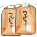 令和5年産 随時発送中 送料無料 山形県産 コシヒカリ 白米 10kg 5kg×2 安全で確かなものを食卓へ 艶・甘み抜群 十キロ お米 おこめ 白米 はくまい