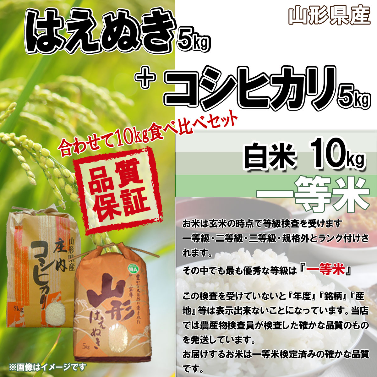 令和5年産 送料無料 山形県産 はえぬき 5キロ こしひかり 5キロ 合計 10キロ 食べ比べ セット コシヒカリ 十キロ お米 おこめ 白米 はくまい 3