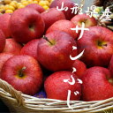 送料無料 お手頃 約4kg 山形県産 訳あり サンふじ りんご 4kg ジューシーな 山形 のりんご りんご/リンゴ/訳あり/家庭用/わけあり