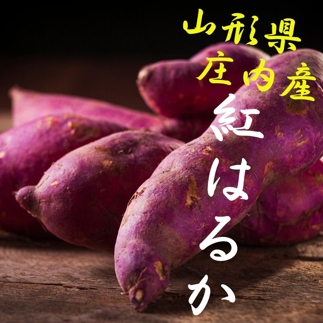 送料無料 山形県庄内産 さつまいも 紅はるか10キロ 不揃い 地元農家との共同栽培