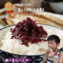 生ふりかけ しば漬け お試しサイズ 40g オートミール米化 保存食 朝食 夜食 ふりかけ 混ぜご飯