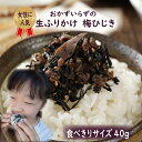 生ふりかけ 梅ひじき 40g 送料無料 お試しサイズ おかずのいらない生ふりかけ 混ぜご飯 ふりかけ 簡単 便利 ご飯のお供 お弁当 おにぎり 具材 まろやかひじき しっとりひじき お子様 キッズ 朝食 夜食 保存食 非常食 furikake