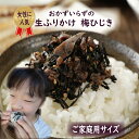 ふりかけ 梅ひじき 100g 送料無料 ご家庭用サイズ おかずのいらない 生ふりかけ 混ぜご飯 ご飯のお供 お弁当 おにぎり 具材 便利 しっとりひじき お子様キッズ おかずいらず ミネラル カルシウム 朝食 夜食 保存食 非常食 furikake