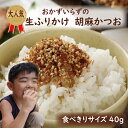 ふりかけ 胡麻かつお 40g 送料無料 お試しサイズ おかずのいらない 生ふりかけ 混ぜご飯 ご飯のお供 お弁当 おにぎり 具材 便利 お子様 キッズ カツオ ゴマ 夜食 朝食 保存食 非常食 ポイント消費 furikake