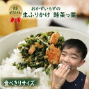 ふりかけ 鮭菜っ葉 40g おかずのいらない 生ふりかけ ご飯のお供 お弁当 おにぎり 具材 便利 鮭 野沢菜 お子様 キッズ お昼ご飯 ちりめん 生ふりかけ 朝食 夜食 furikake