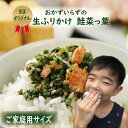 ふりかけ 鮭菜っ葉 100g 生ふりかけ おかずのいらない生ふりかけ 混ぜご飯 ご飯のお供 お弁当 おにぎり 具材 便利 鮭 野沢菜 ちりめん お子様 キッズ 朝食 夜食 焼き飯 チャーハン furikake