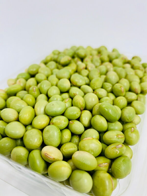 ��������������Ʀ