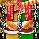 【11】生姜スタミナ食べ比べセット ( 生姜餃子 10個×4パック スタミナ餃子 10個×4パック) 冷凍餃子 取り寄せ 肉汁 ぎょうざ もちもち 美味しい 餃...