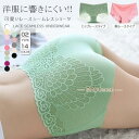 ショーツ レディース 盛 無地 レースパンツ 春新作 パーブルノーマル 下着 パンツ プレーンショーツ スタンダード 女性用