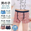パンツ 下着 ブリーフ 3枚セット インナー ボーイズ 洗い替え キッズ 男の子 ショーツ 動物柄 子供の日 ノーマル 可愛い 小学生 快適 多色