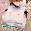 ジュニアブラ スポーツブラ ハーフトップ ブラジャー 単品 女児 下着 女の子 ガールズ かわいい バッド付き Yバック カップ取り外し可能 ジュニア