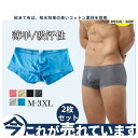 男性下着 肌着 アンダーウェア 2枚セット 涼感 ボクサーパンツ メンズ 下着 メンズショーツ 前閉じ シンプル ストレッチ アイスシルク 無地 通気