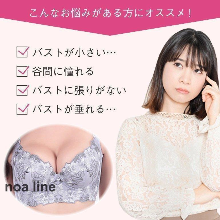 レディース ブラジャー ショーツ セット 脇肉スッキリブラ バストアップ ブラショーツ 大人 脇高ブラ 補正下着 谷間 下着 育乳 かわいい ホ maruk2010-10002527 maruk shop サンプル画像3