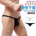 メンズ ビキニショーツ ビキニ水着 Tバック パンツ 男性下着 フルバック 極小 インナー ローライズ 競泳水着風