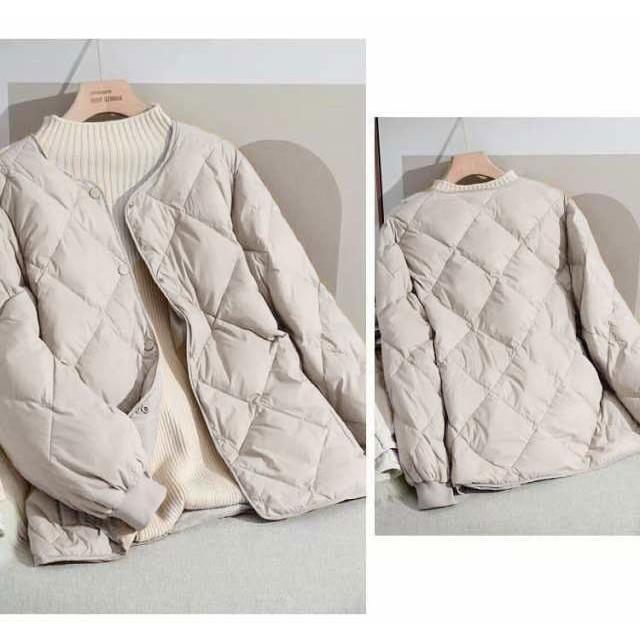   ǥ  Ĺµ Ȥ 奢 䤻   ڹ 