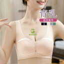 冷感タイプ登場 ブラジャー ノンワイヤー ナイトブラ 育乳 バストアップ ブラジャー 大きいサイズ 速乾 伸縮 耐久 レディース ノンワイヤー脇肉