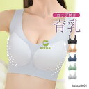 冷感タイプ登場 ブラジャー ノンワイヤー ナイトブラ 育乳 バストアップ ブラジャー 大きいサイズ 速乾 伸縮 耐久 レディース ノンワイヤー脇肉