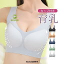 冷感タイプ登場 ブラジャー ノンワイヤー ナイトブラ 育乳 バストアップ ブラジャー 大きいサイズ 速乾 伸縮 耐久 レディース ノンワイヤー脇肉
