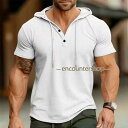 パーカー メンズ 半袖パーカー 半袖 パーカー フード付きtシャツ