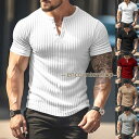 サマーニット メンズ ニットtシャツ 半袖 vネック 半袖ニット