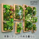 フェイクグリーン 壁掛け 造花 人工観葉植物 寄せ植え お祝い 壁 ティランドシア アレンジ おしゃれ 木製パネル アートフラワー グリーンパネル壁