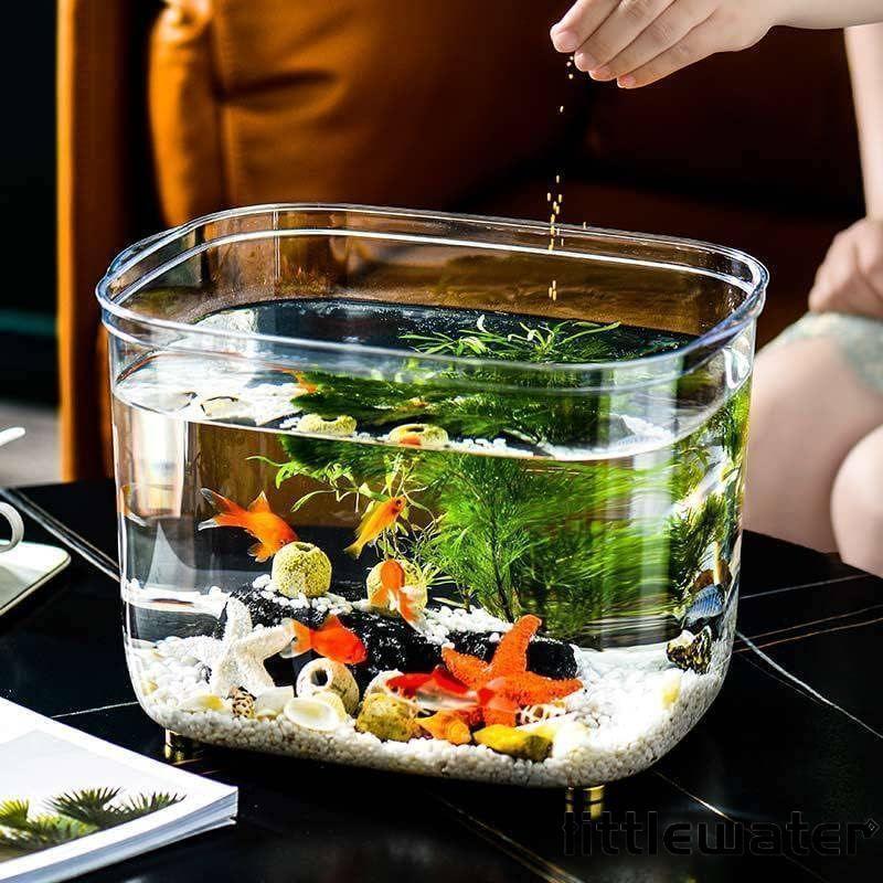 maruk shopの金魚鉢 水槽 飼育水槽 プラスチック テラリウム 透明アクリル 観葉植物 インテリア 容器 テーブル アクアリウム ボウル 水培 大容量 おしゃれ メダカ 鉢 インテ｜アングル2