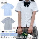 半袖 学生服 透けない 胸ポケット シャツ 女子 シャツ スクール ブラウス ワイシャツ レディース 制服 開襟 おしゃれ 中学生 高校生