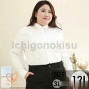 yシャツ ワイシャツ ぽっちゃり レディース 立ち襟 通勤 事務服 就活 就職活動 リクルート 面接 開襟 トップス 仕事着 フォーマル シャツ ブラウス 長袖...