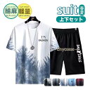 メンズ 半袖上下セット セットアップ カジュアル 夏服 ボトムス 半ズボン 短パン クールネック ジャージ 軽量 柔らか ひんやり さわやか 薄手